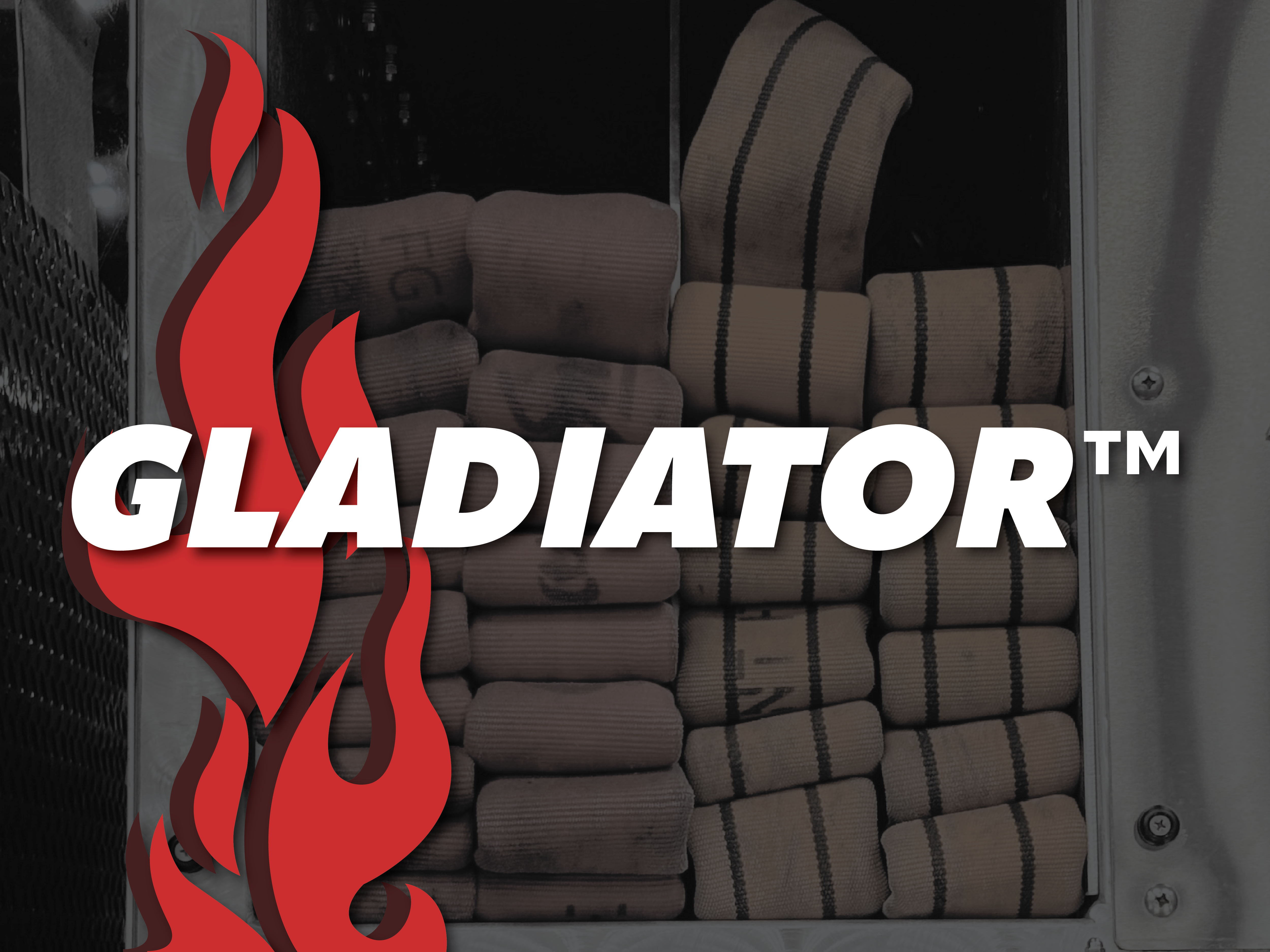 Gladiator 2