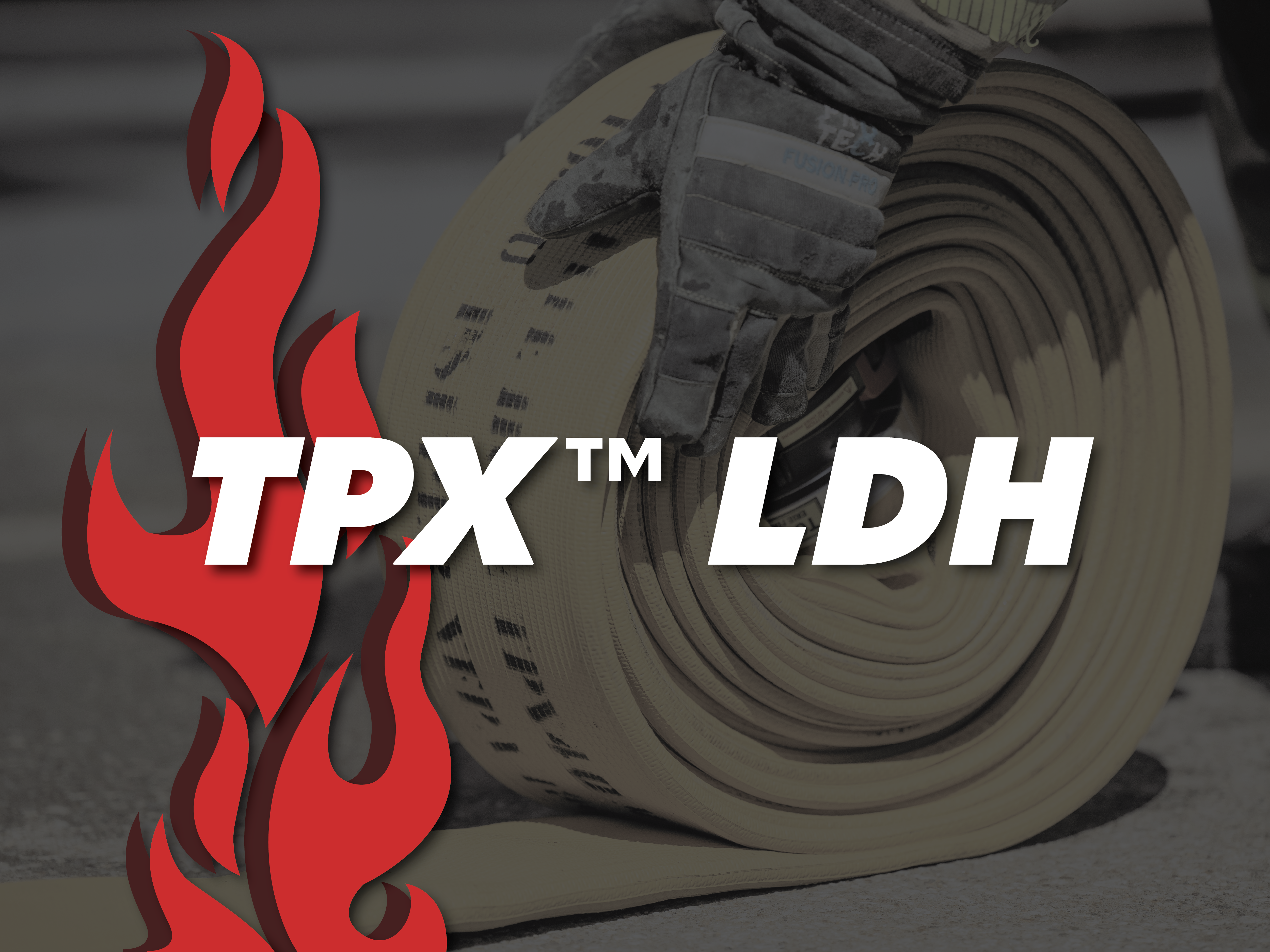 TPX LDH